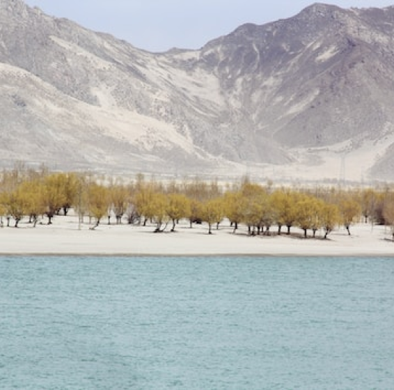 Countering desertification around Lake Aral