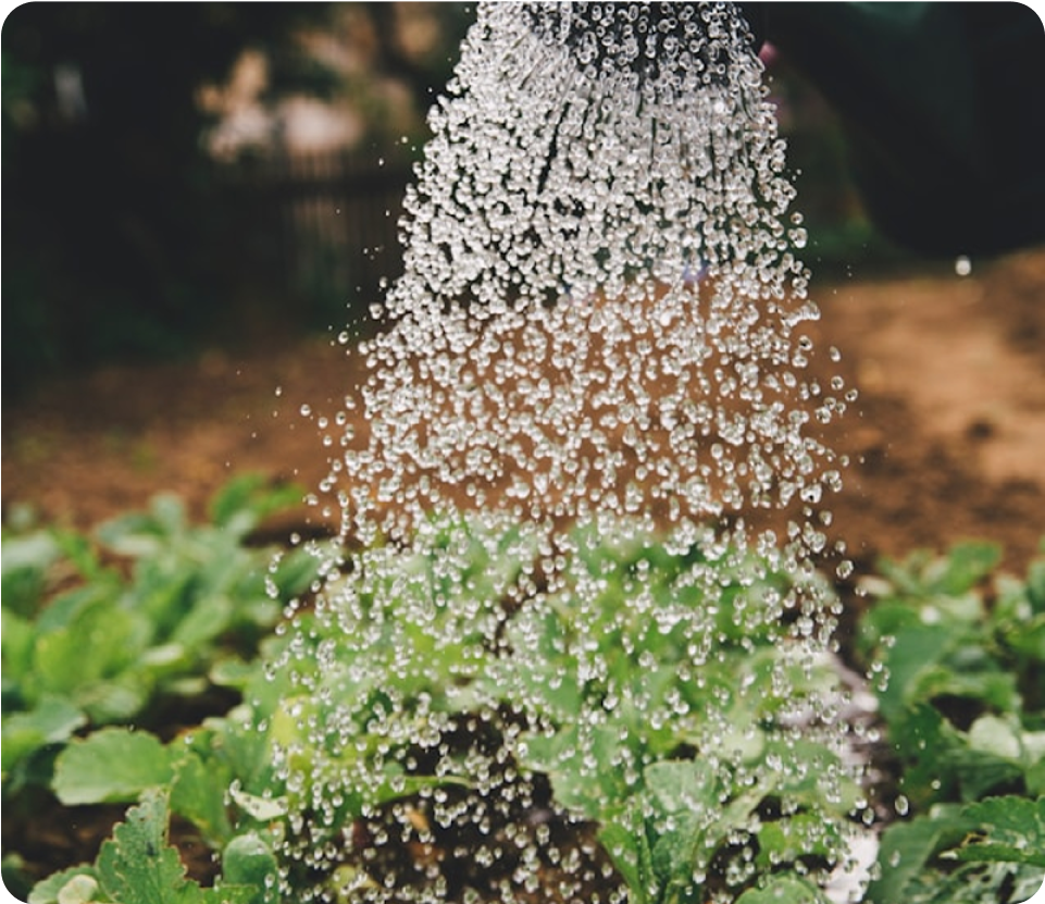 Illustration de notre vision