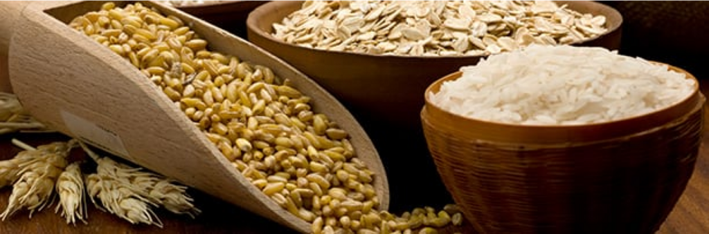 bowls of different uncooked grains