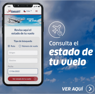 Estado de Vuelo