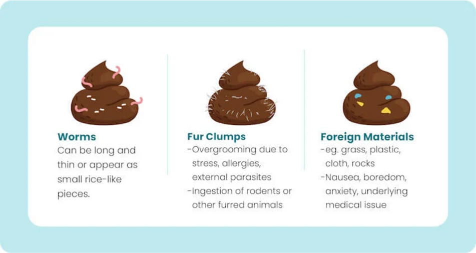image of pet poo with worms, fur clumps and foreign materials