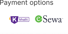 Payment option 1