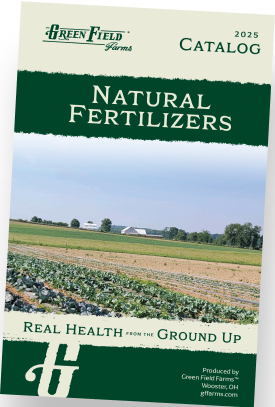 Product catalog preview