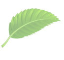 Decorative leaf