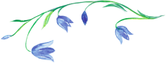 Decorative flourish