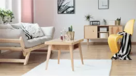 Entire apartment cleaning illustration