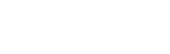 CNEC Logo