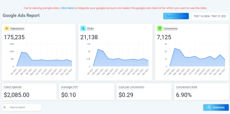 Google Ads Report visualization