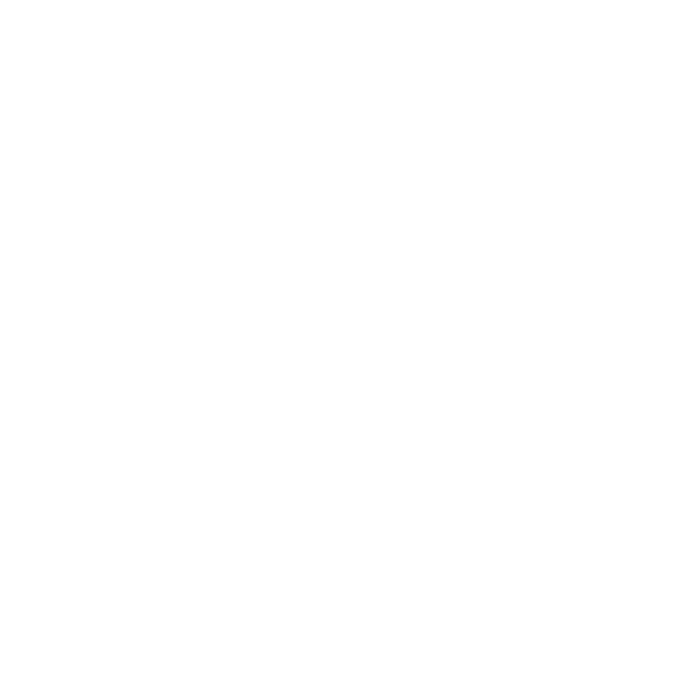Footer Logo 1