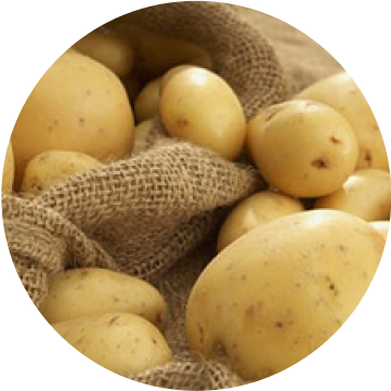 Potatoes