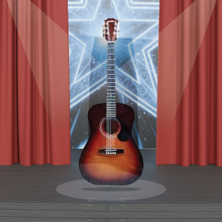 Gitar Allegro FW