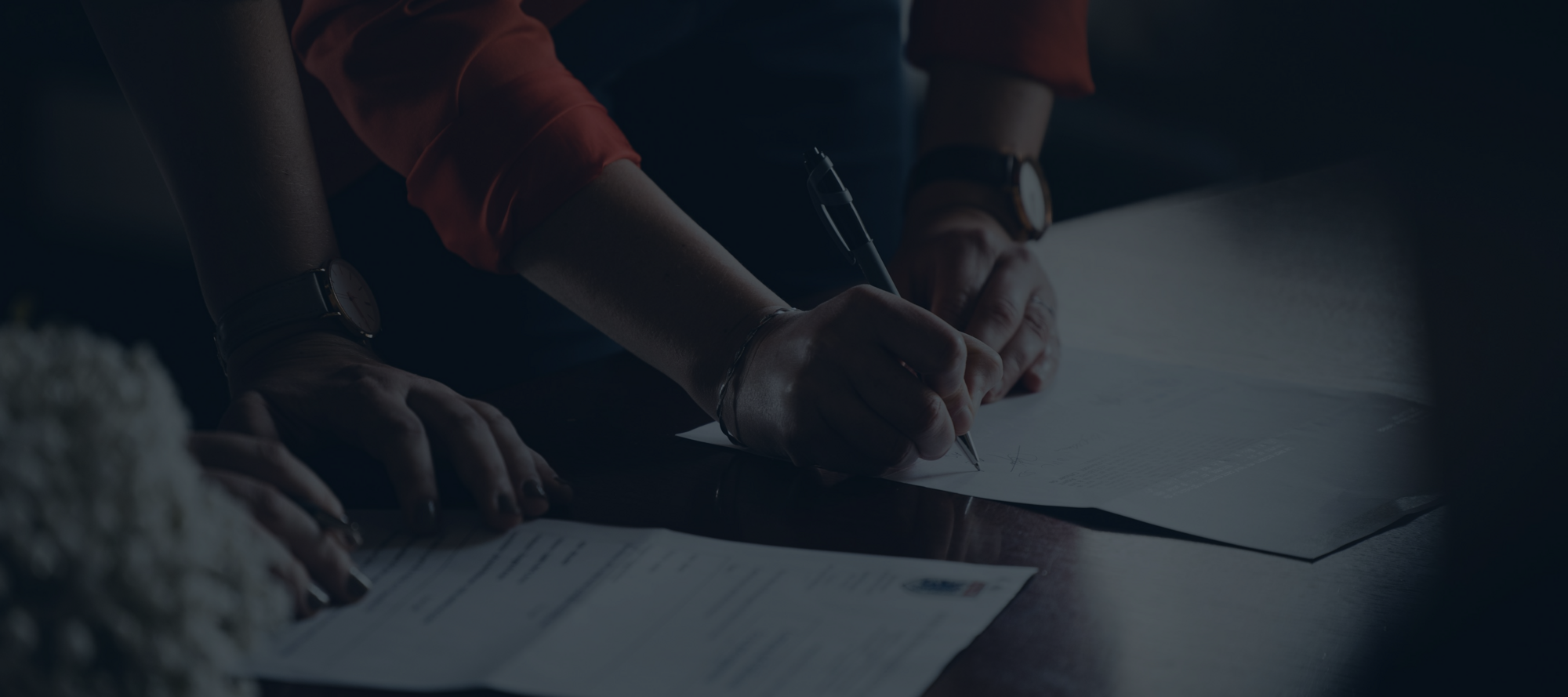 Illustration de fond