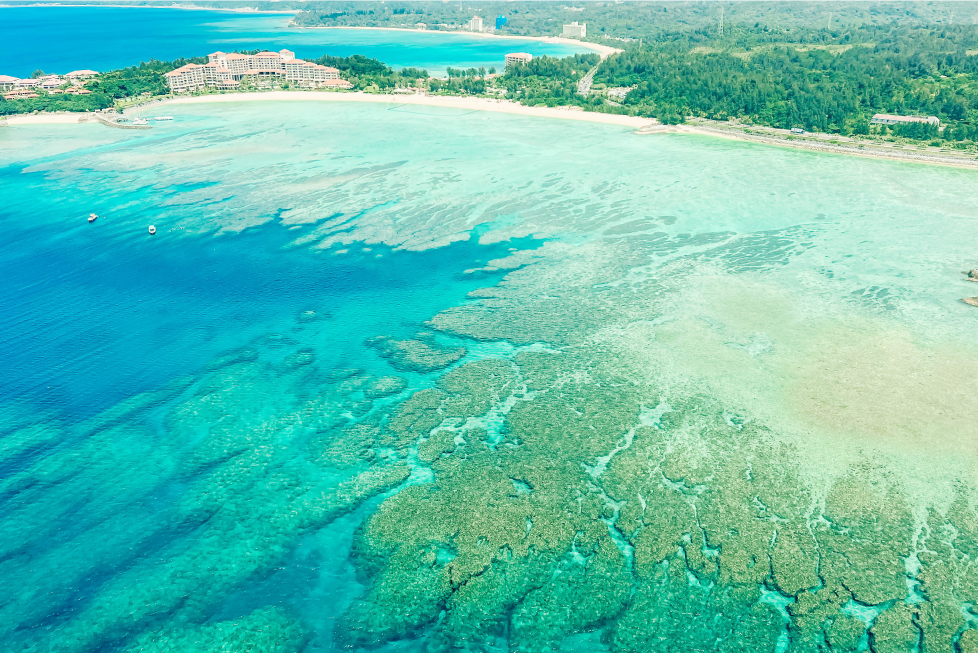 A scenic view from a helicopter