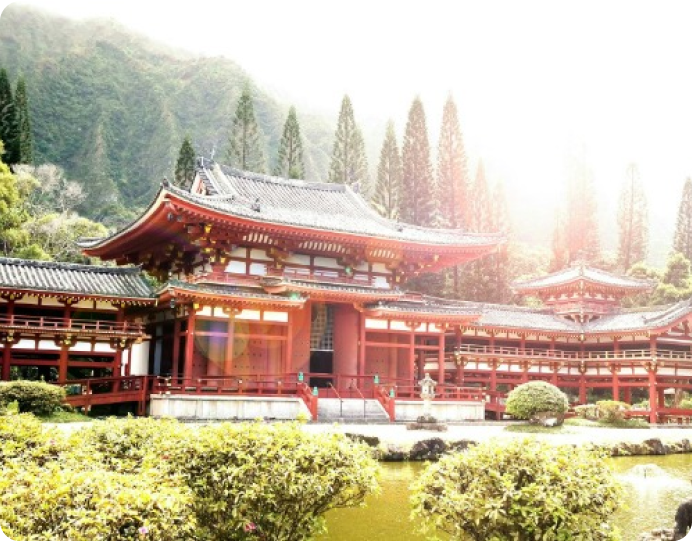 Description for Image 5