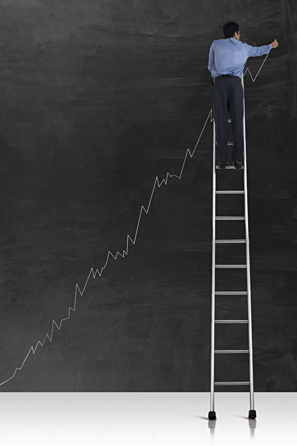 Company growth chart max-h-[900px] 