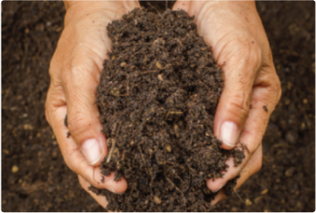 Soil EC