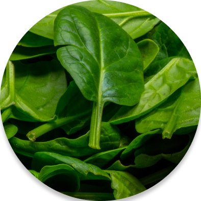 Crispy spinach snack