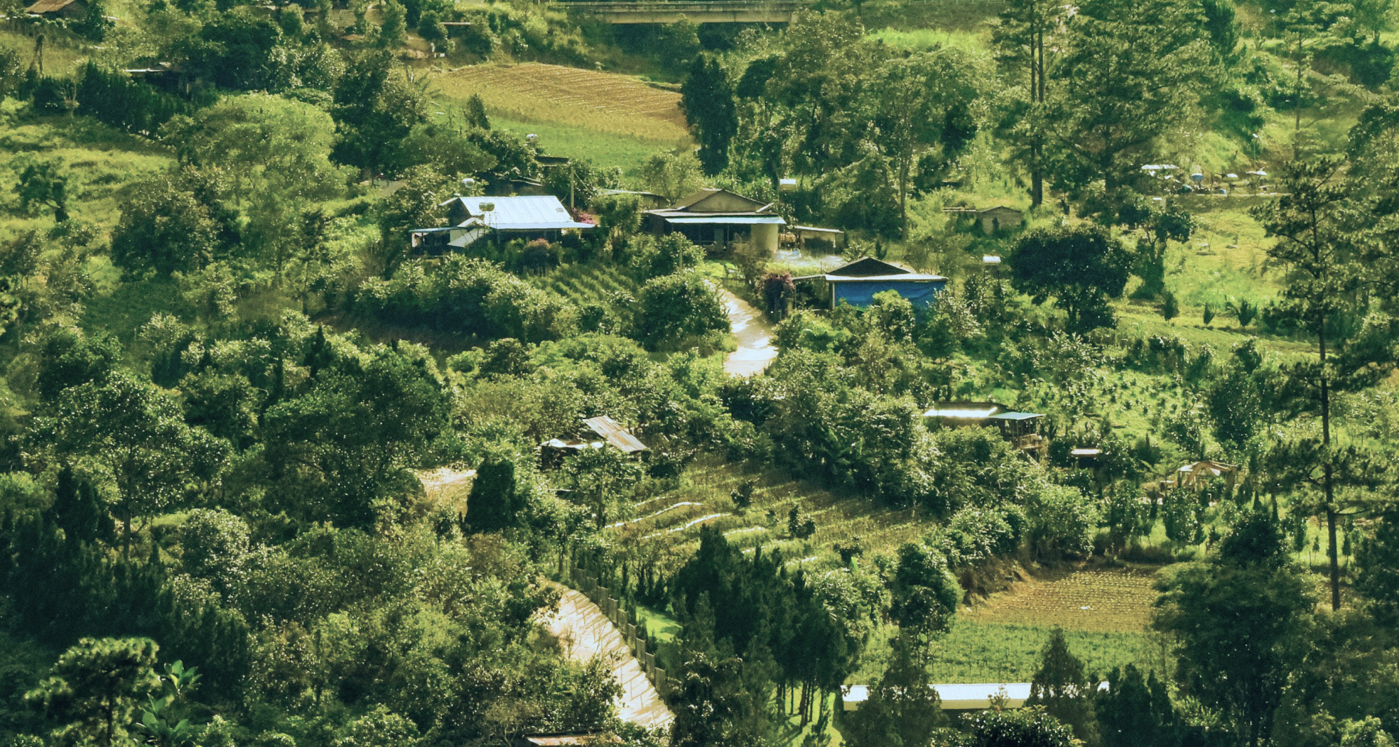 Khí hậu Đà Lạt