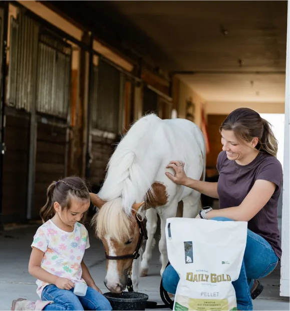 Horse and person