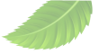 Decorative leaf