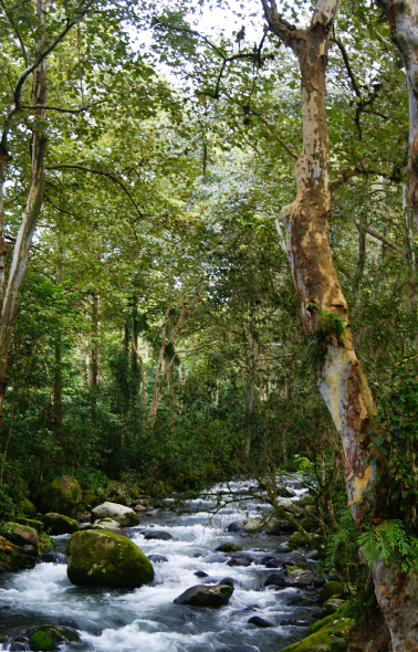 Cuenca Alta del Río La Antigua