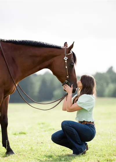Horse in field