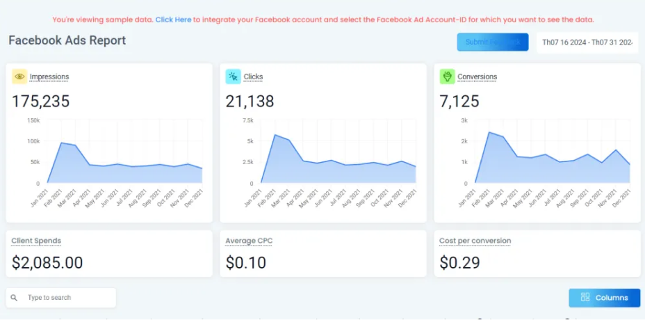 Facebook Ads Report visualization