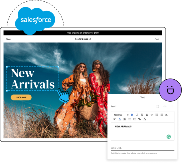 Integration / Salesforce commerce cloud - Builder.io