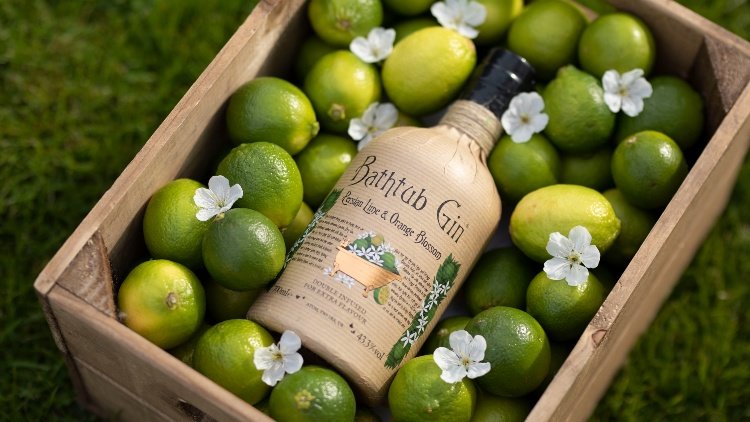 Bathtub Gin Persian Lime & Orange Blossom | Master of Malt
