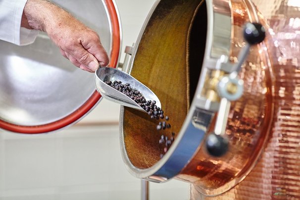 The Ultimate Gin Guide | Master Of Malt