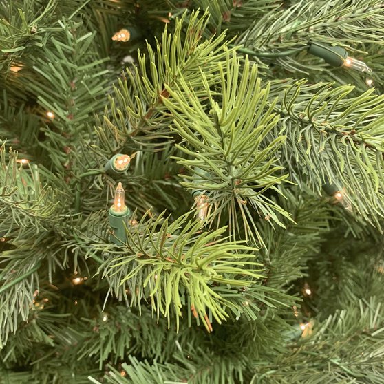Christmas Tree Buying Guide