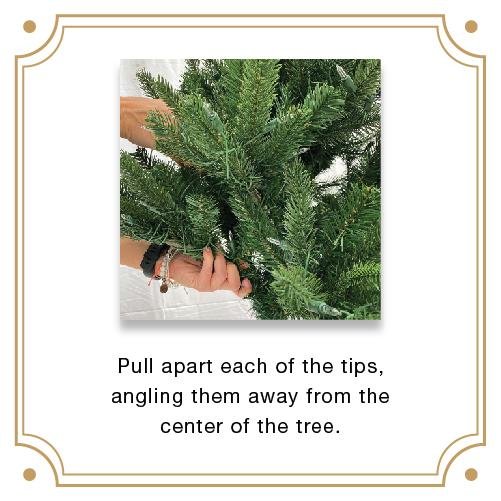Tree Setup & Storage