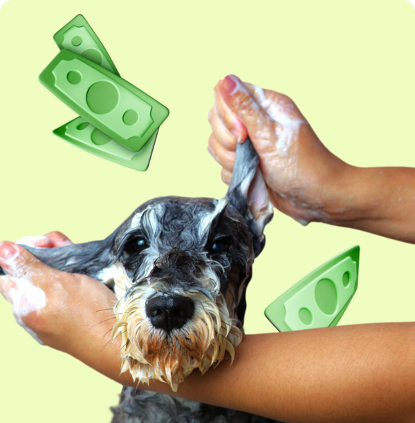 Wagmo Insurance