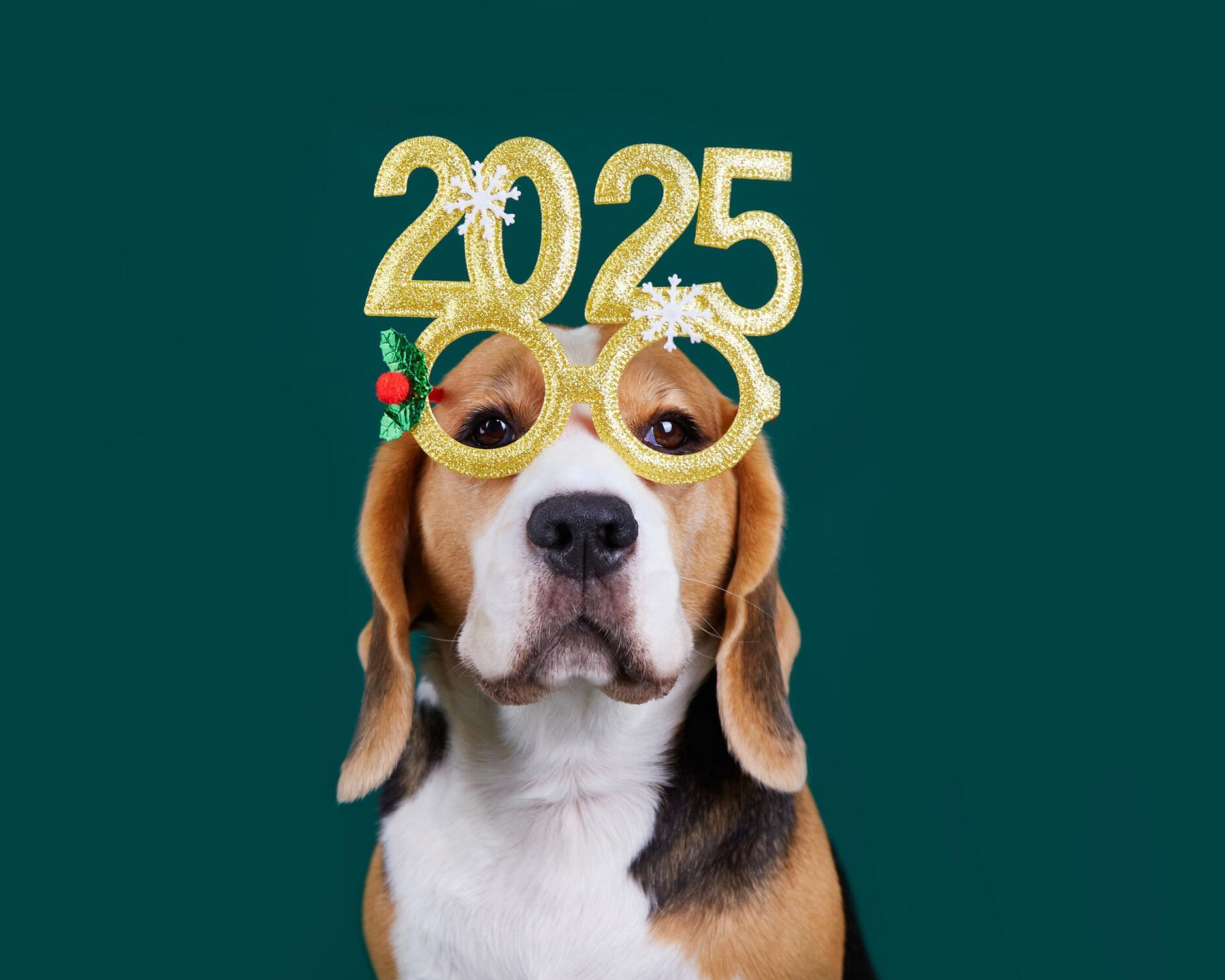 Wagmo 2025 Year In Review cover image
