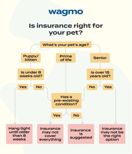 Is Wagmo Good Pet Insurance