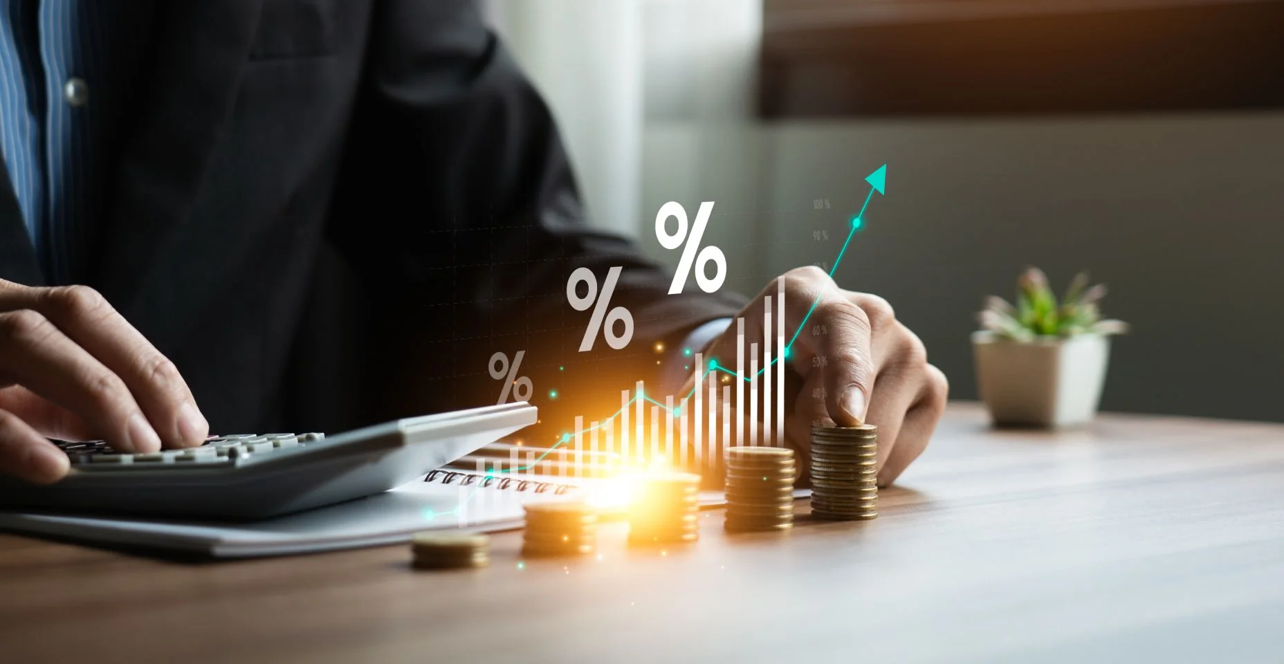 Como investir dinheiro: guia para iniciantes | Blog Serasa