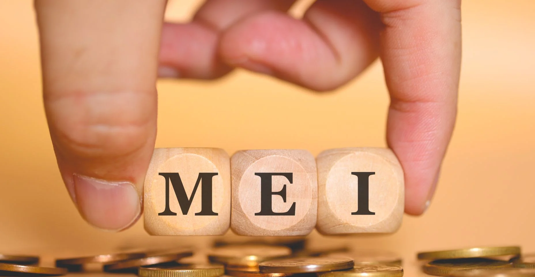 Posso abrir MEI com “nome sujo”? | Blog Limpa Nome Online