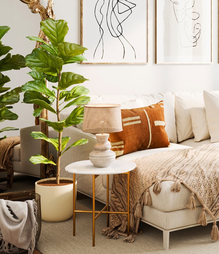 15 Best Plants for Your Living Room | easyplant