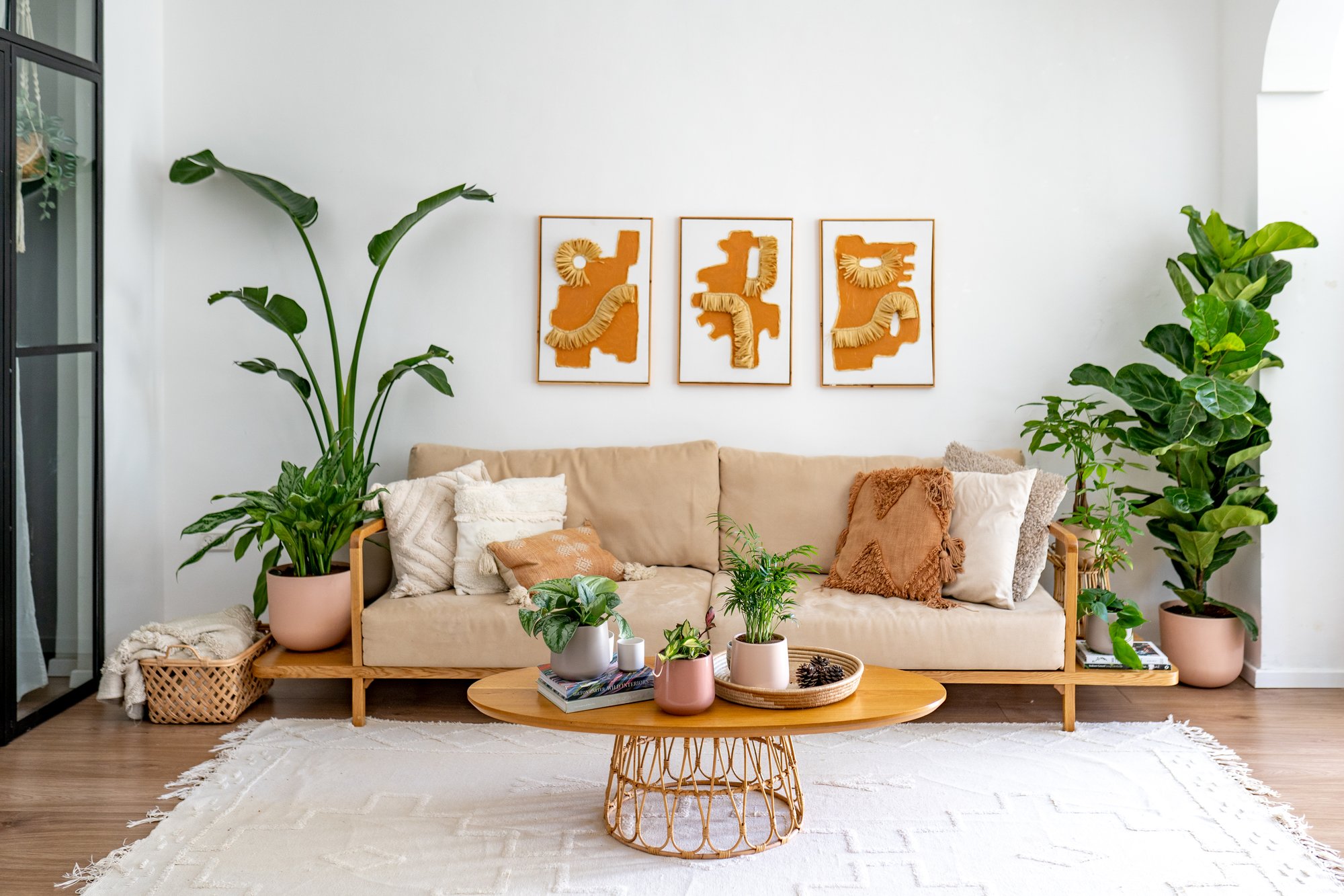 Benefits of Indoor Plants | easyplant