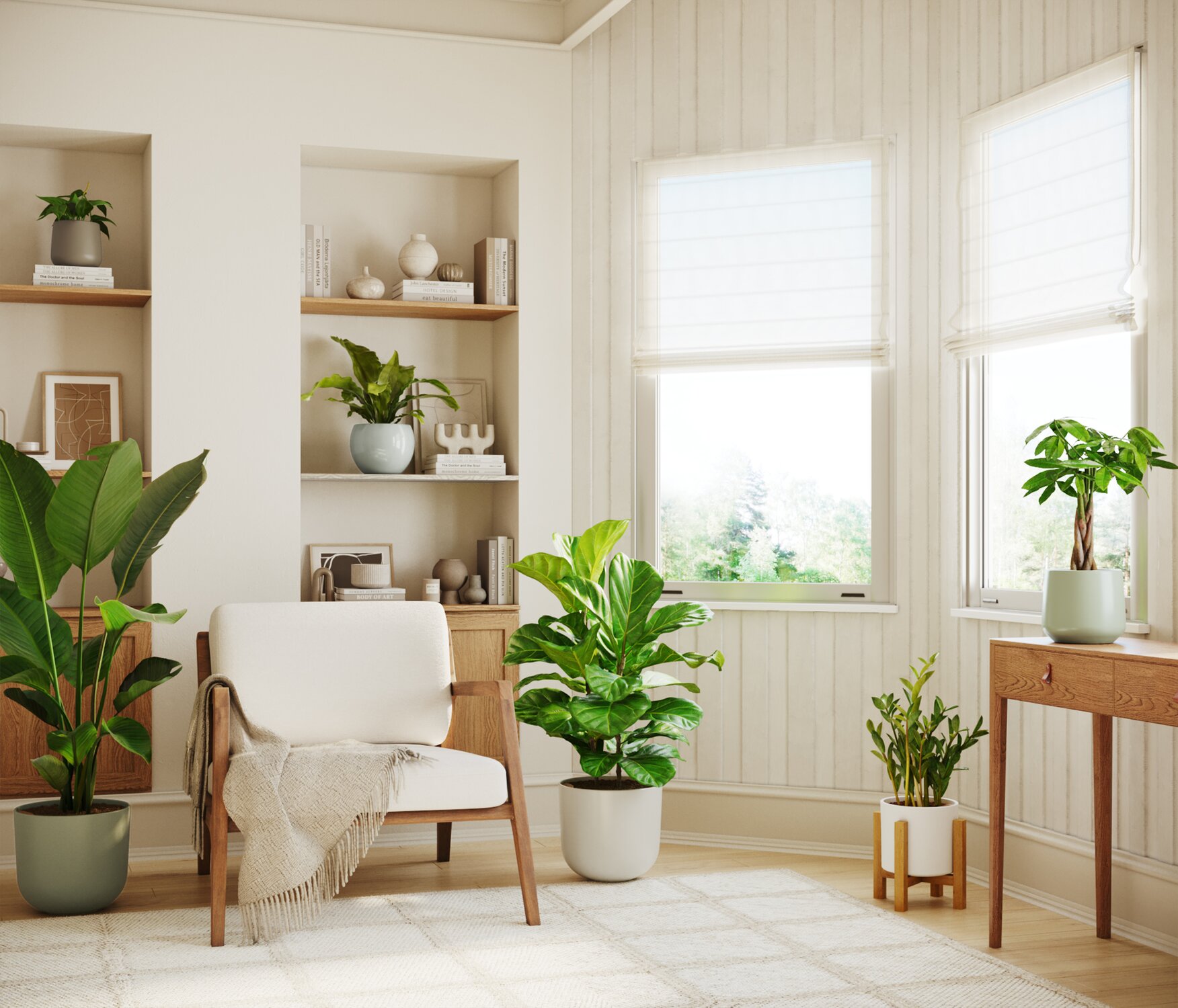 The Ultimate Guide to Lighting for Your Houseplants | easyplant