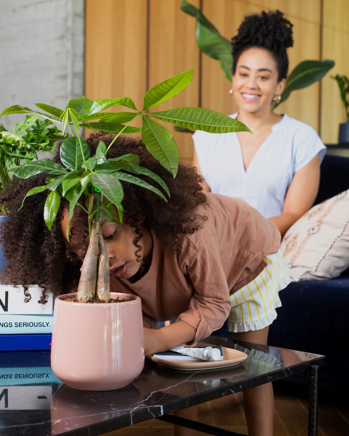 Common Signs Your Money Tree is Underwatered