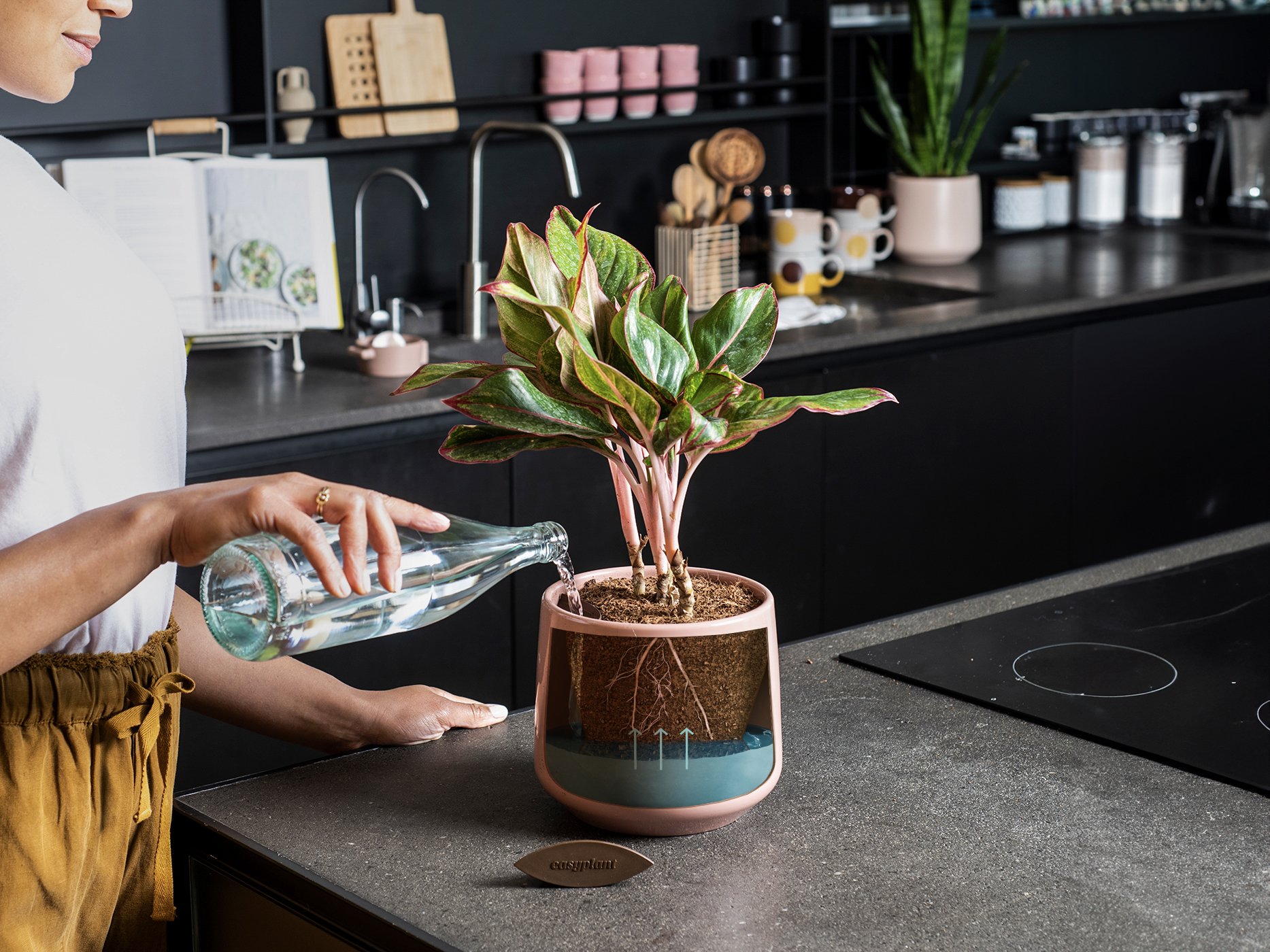 How Do Self Watering Planters Work? easyplant