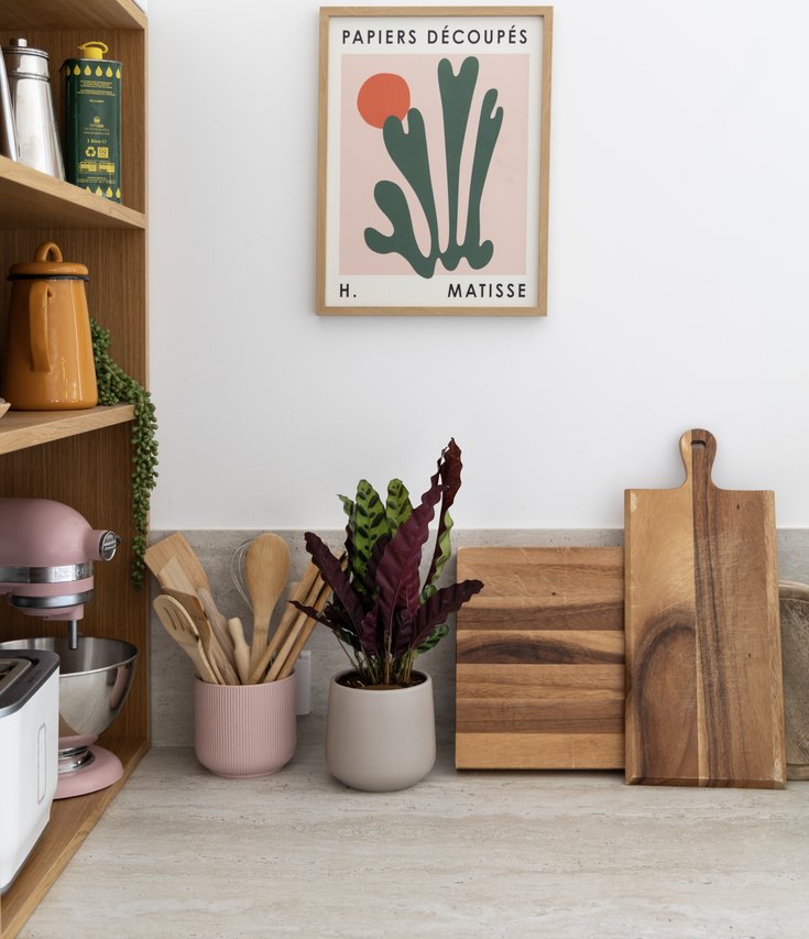 The Ultimate Plant Gift Guide | easyplant