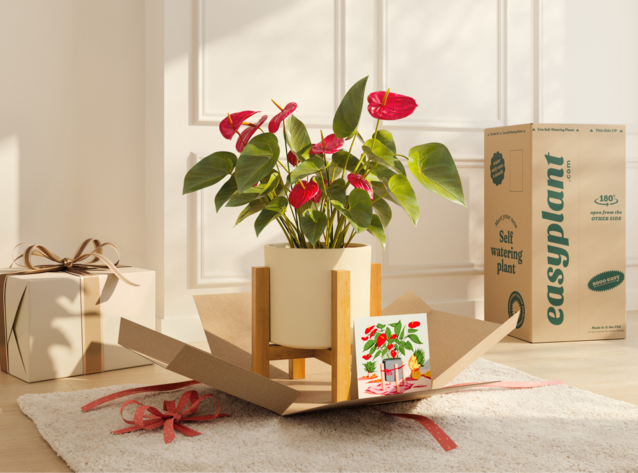 easyplant: Easy Care Self Watering Plants