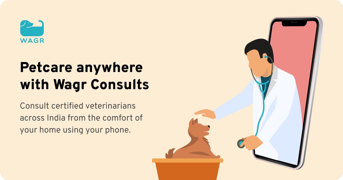 Online Vet Consultations Wagr Petcare