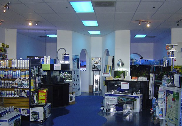 Our Store – Deep Sea Creations