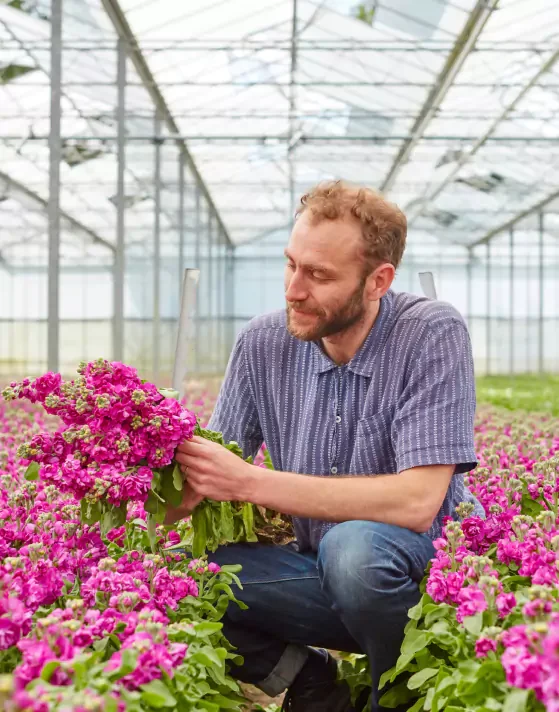 Flower Subscriptions Freddie's Flowers