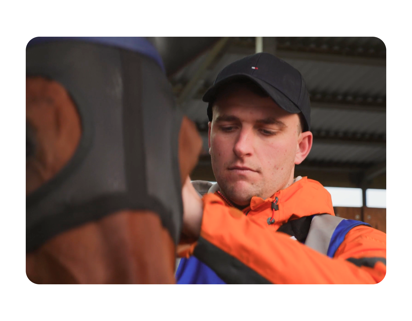 Stable, Horse, Staff & Owner Management For Trainers | Prism