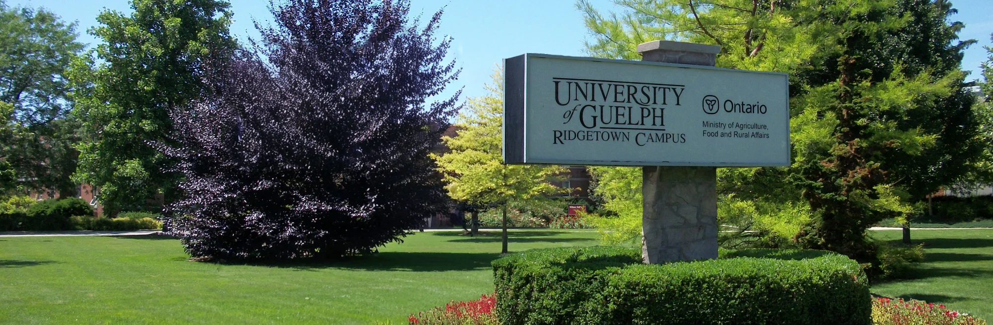 University of Guelph, Ridgetown Campus | Ontario Colleges