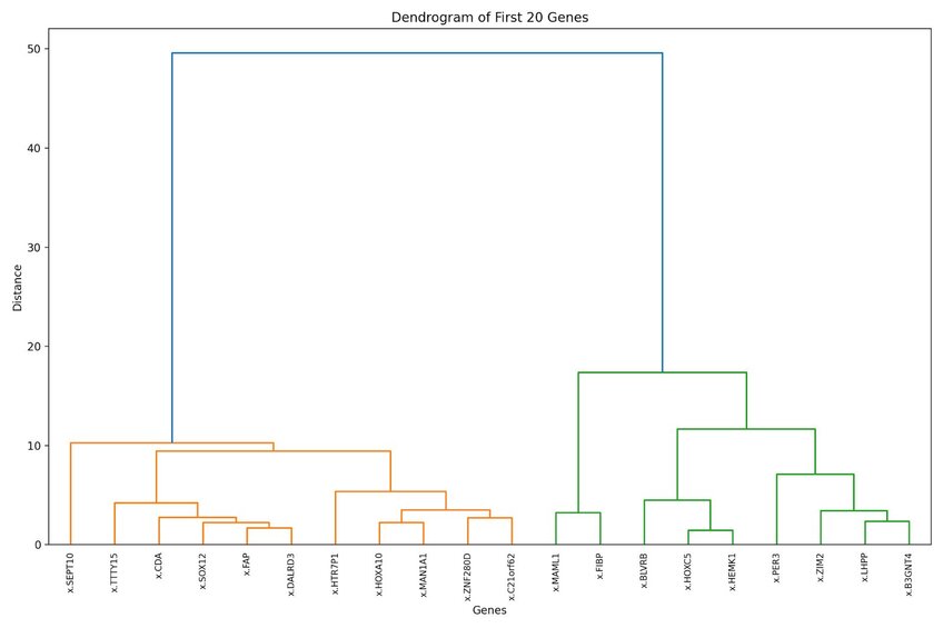 29 Best Types of Charts and Graphs for Data Visualization
